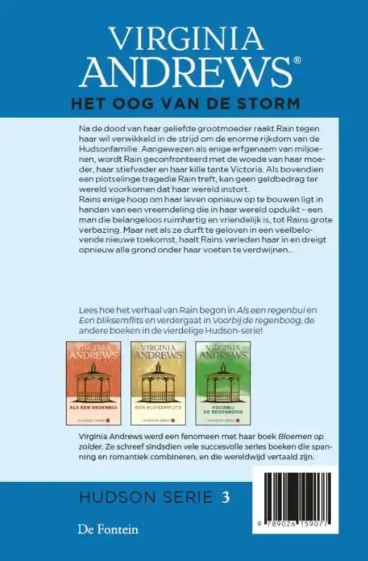 HET OOG VAN DE STORM
