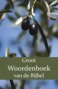 GROOT WOORDENBOEK VAN DE BIJBEL A-H