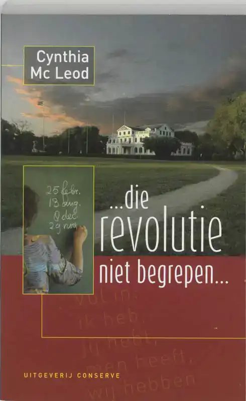 ... DIE REVOLUTIE NIET BEGREPEN!...