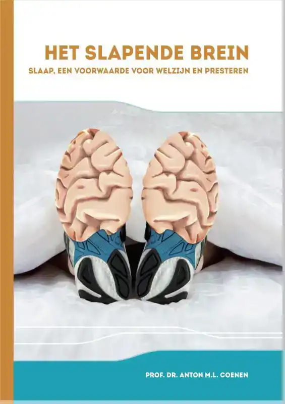 HET SLAPENDE BREIN
