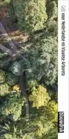GIDS VOOR NEDERLANDSE EN VLAAMSE ARBORETA