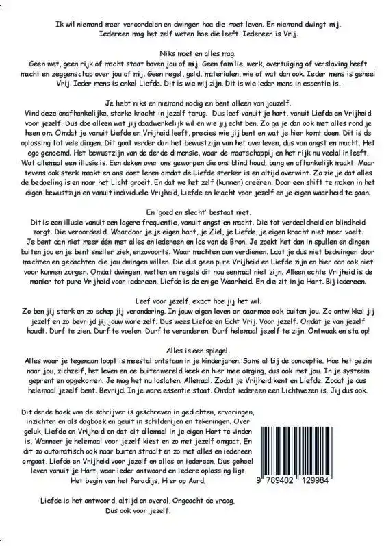 ALLES IS EEN SPIEGEL