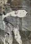 NICO DE GUCHTENAERE