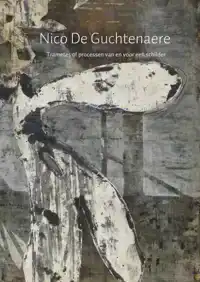 NICO DE GUCHTENAERE