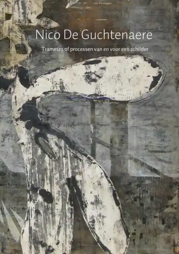 NICO DE GUCHTENAERE