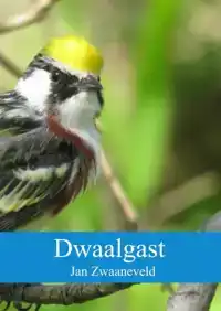 DWAALGAST