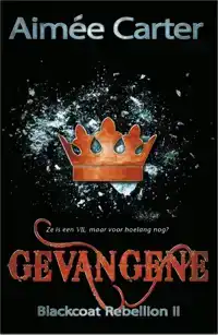 GEVANGENE