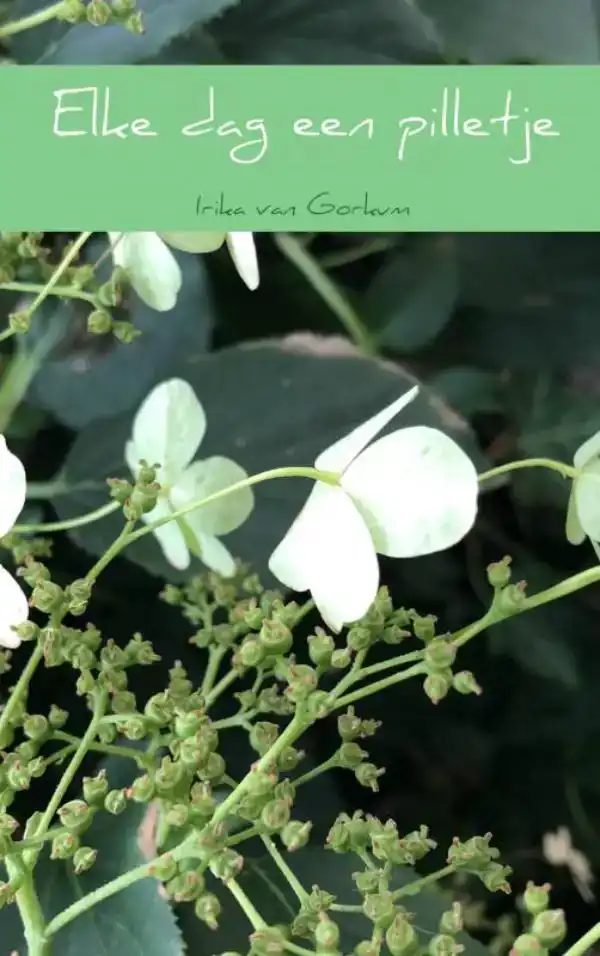ELKE DAG EEN PILLETJE
