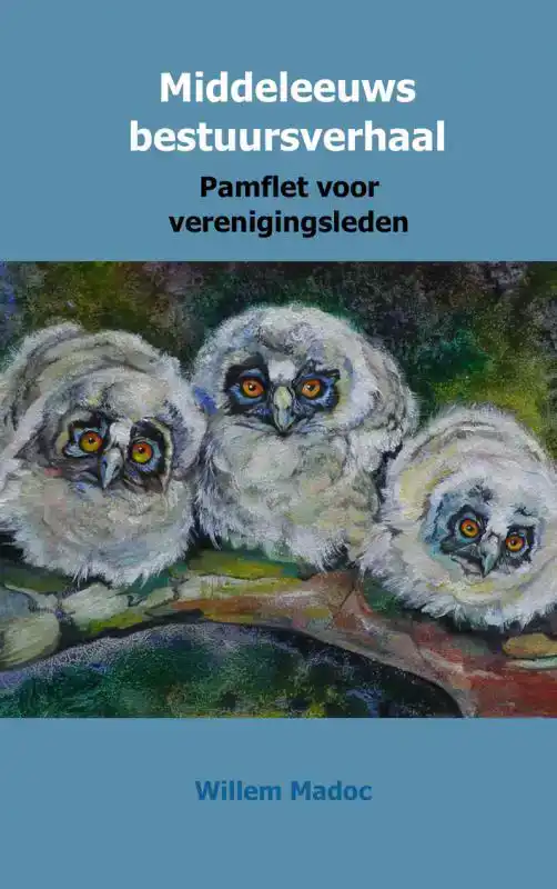 MIDDELEEUWS BESTUURSVERHAAL