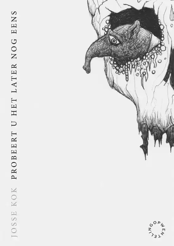 PROBEERT U HET LATER NOG EENS