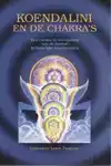 KOENDALINI EN DE CHAKRA'S
