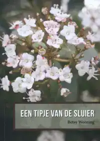 EEN TIPJE VAN DE SLUIER