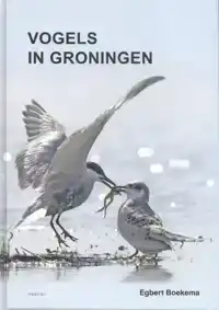 VOGELS IN GRONINGEN