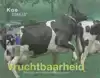 VRUCHTBAARHEID
