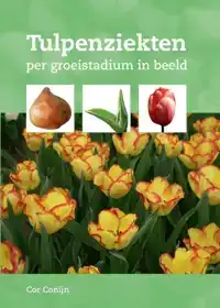 TULPENZIEKTEN