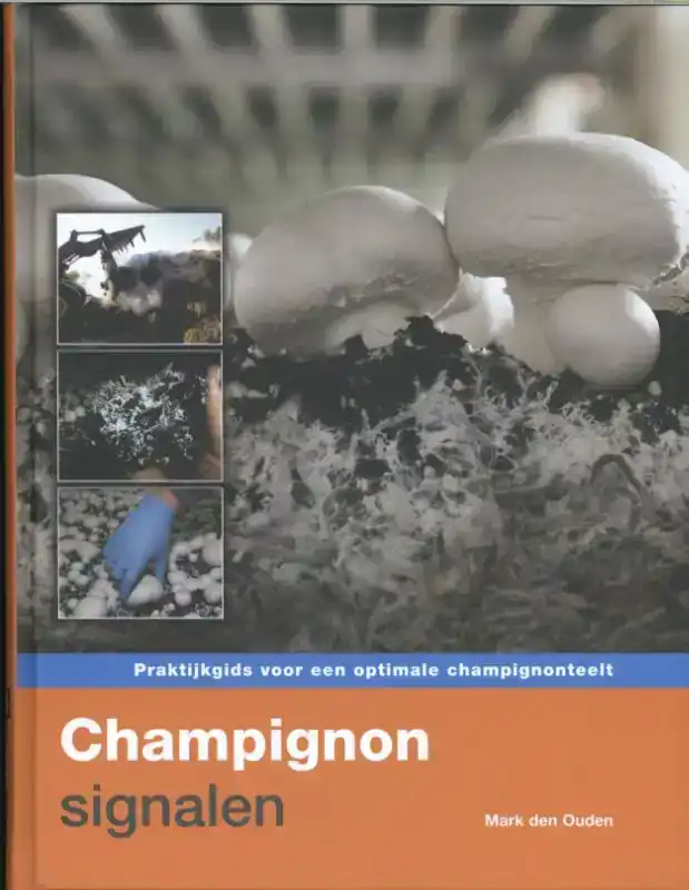CHAMPIGNONSIGNALEN