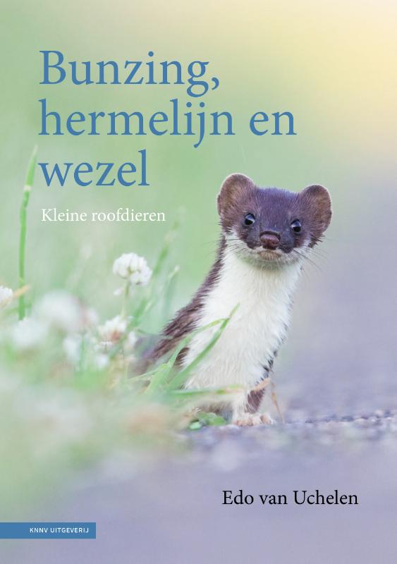 BUNZING, HERMELIJN EN WEZEL