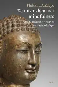 KENNISMAKEN MET MINDFULNESS