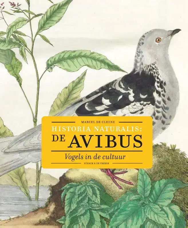 HISTORIA NATURALIS: DE AVIBUS