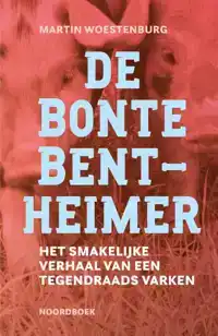 DE BONTE BENTHEIMER