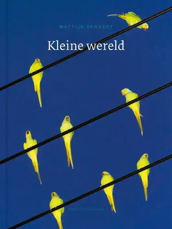 KLEINE WERELD