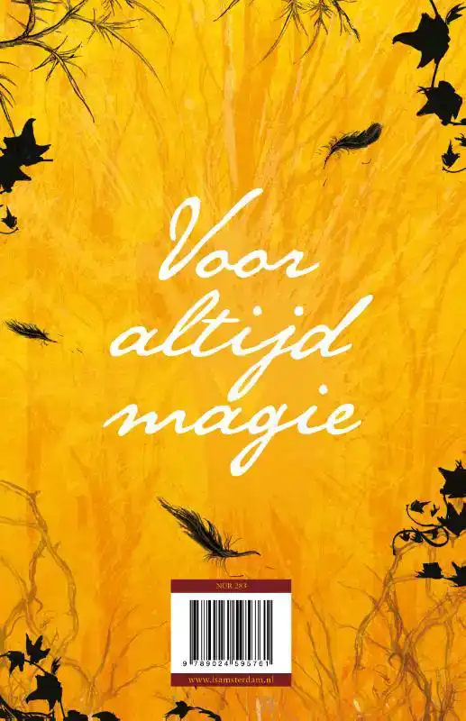 DE TOVENAARS VAN OOIT 4 - NOOIT EN VOOR ALTIJD