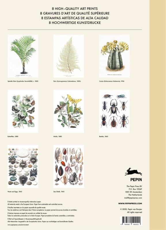 NATURAL HISTORY