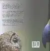 ROOFVOGELS & UILEN IN EUROPA