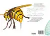 INSECTEN - MEEST ANGSTAANJAGENDE