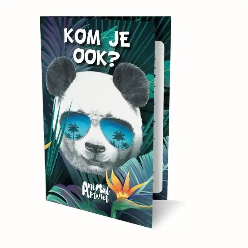 UITNODIGINGEN PANDA 13.5X9CM
