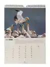 VOGELBESCHERMING MAANDKALENDER 2025