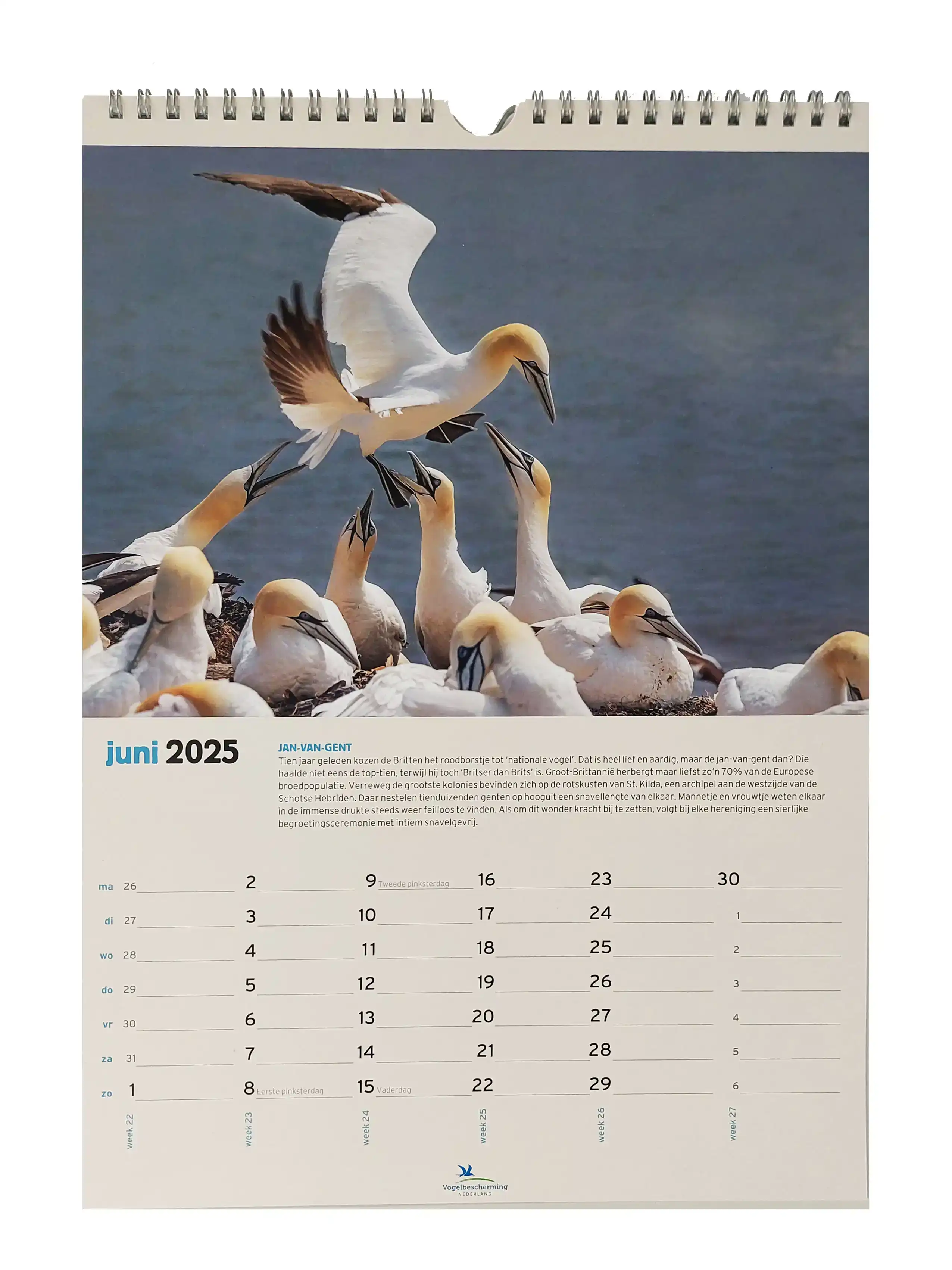 VOGELBESCHERMING MAANDKALENDER 2025