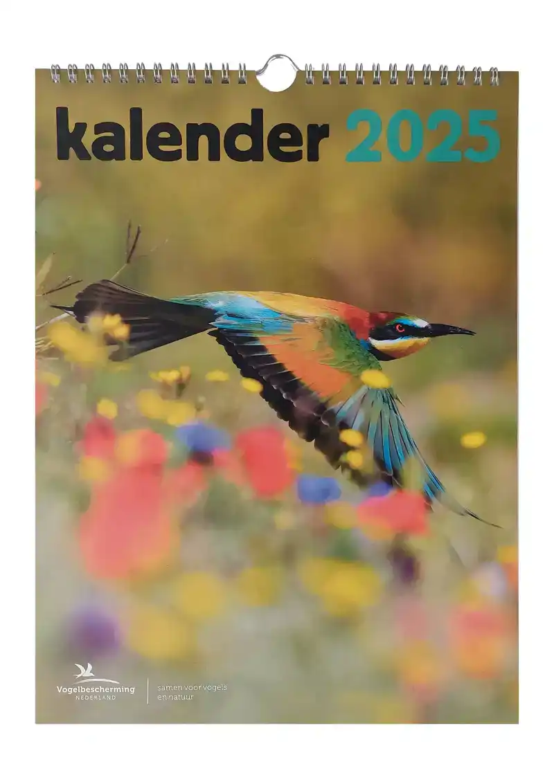 VOGELBESCHERMING MAANDKALENDER 2025