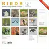 BIRDS MAANDKALENDER 2026, VOGELBESCHERMING