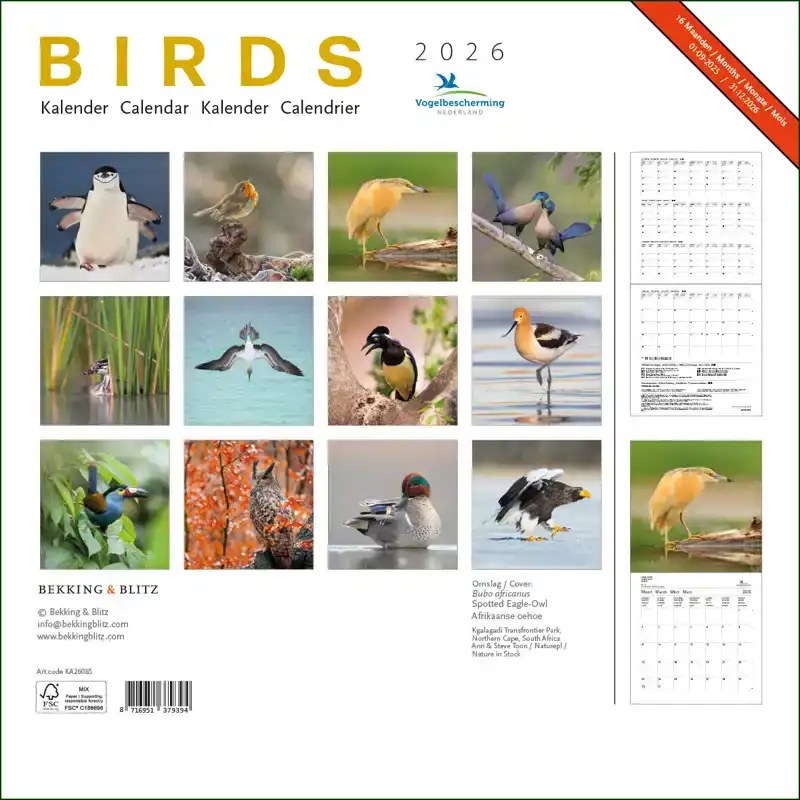 BIRDS MAANDKALENDER 2026, VOGELBESCHERMING