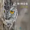 BIRDS MAANDKALENDER 2026, VOGELBESCHERMING