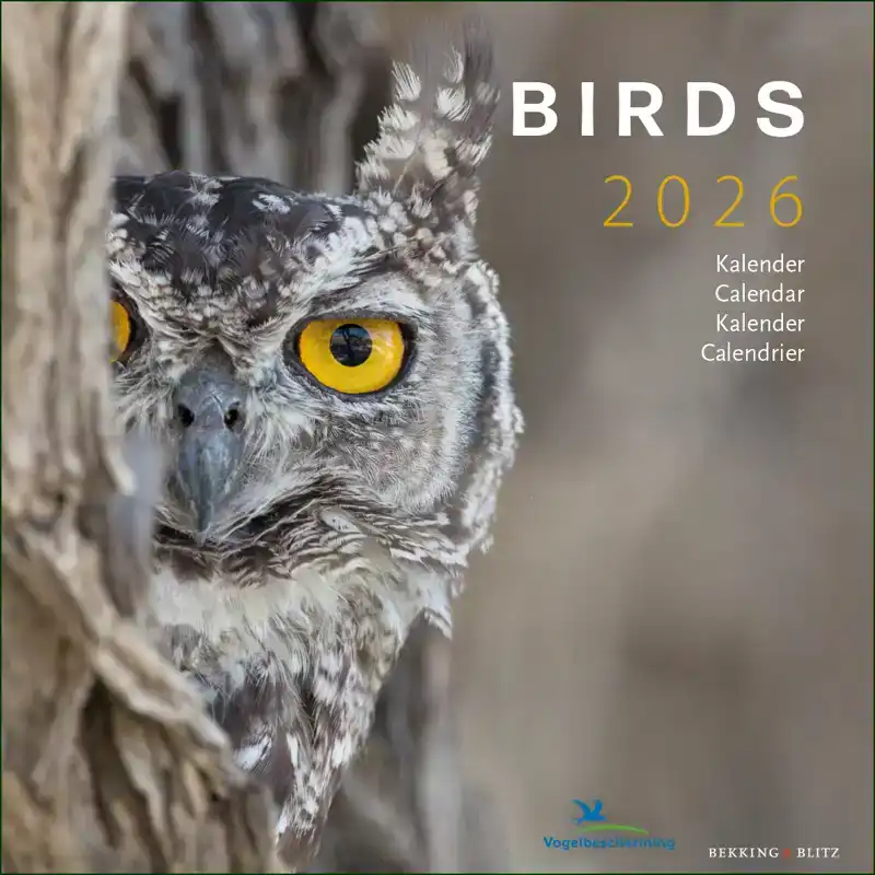 BIRDS MAANDKALENDER 2026, VOGELBESCHERMING