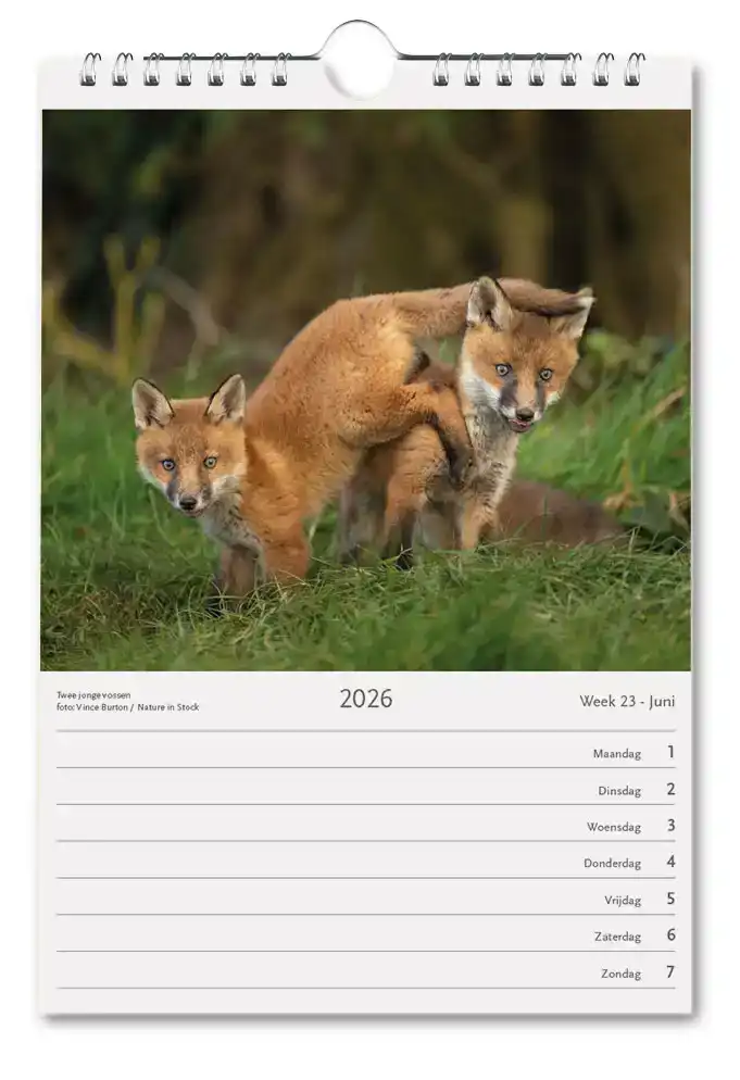 NEDERLAND NATUURLAND WEEKKALENDER 2026