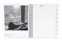 COLLECTIE MARIA AUSTRIA INSTITUUT WEEKAGENDA 2026