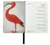 RIJKSMUSEUM AMSTERDAM MINI AGENDA 2026