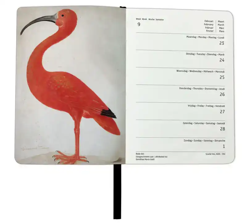 RIJKSMUSEUM AMSTERDAM MINI AGENDA 2026