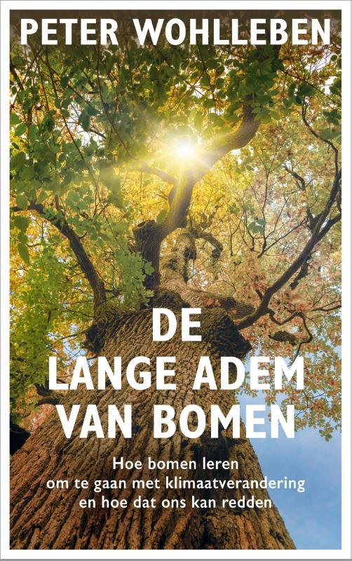 DE LANGE ADEM VAN BOMEN