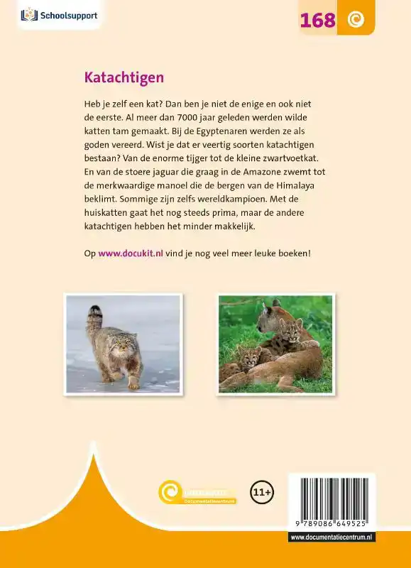 KATACHTIGEN