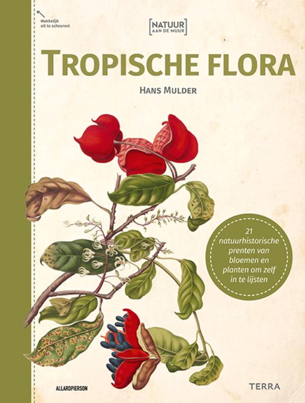 NATUUR AAN DE MUUR - TROPISCHE FLORA