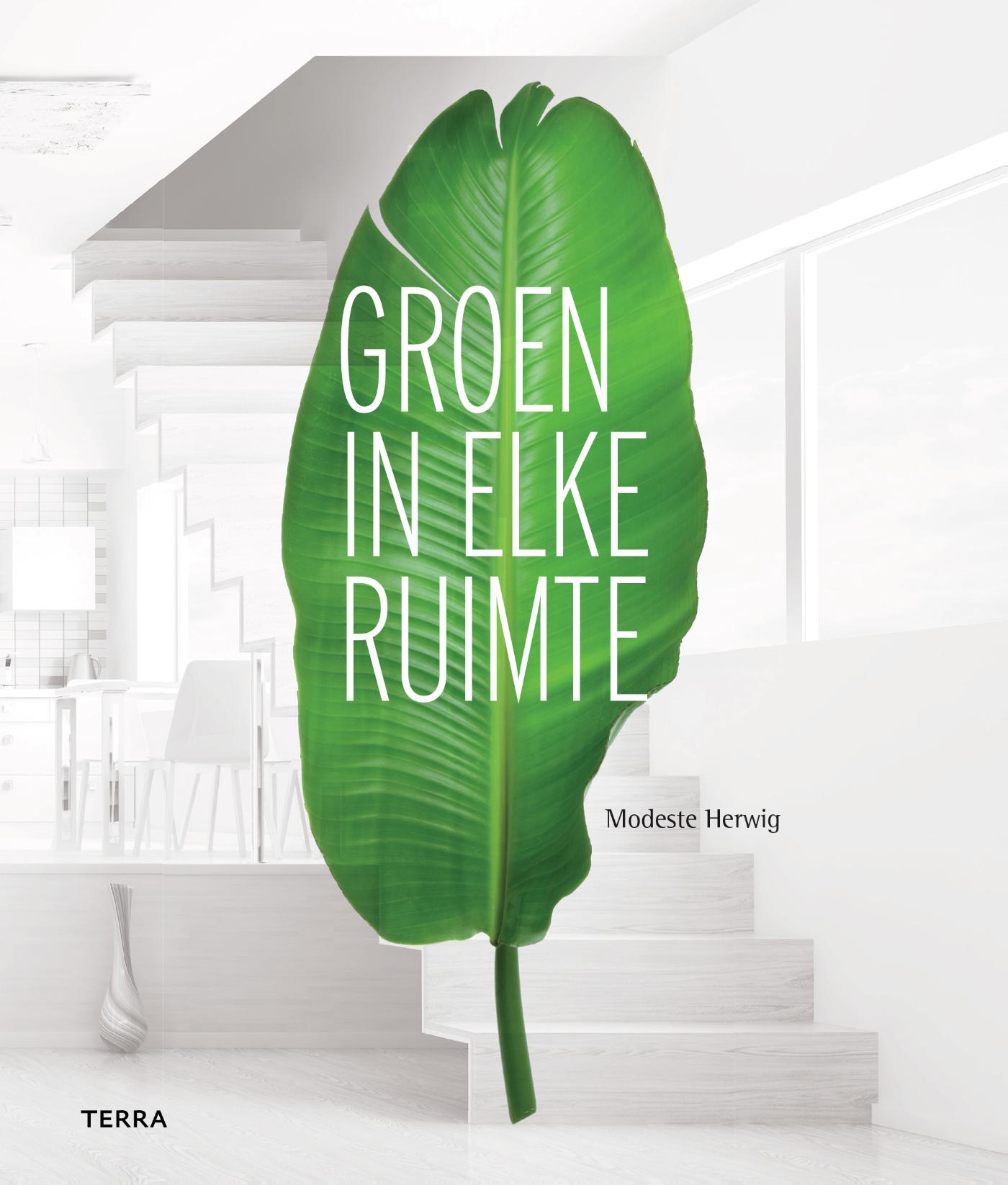 GROEN IN ELKE RUIMTE