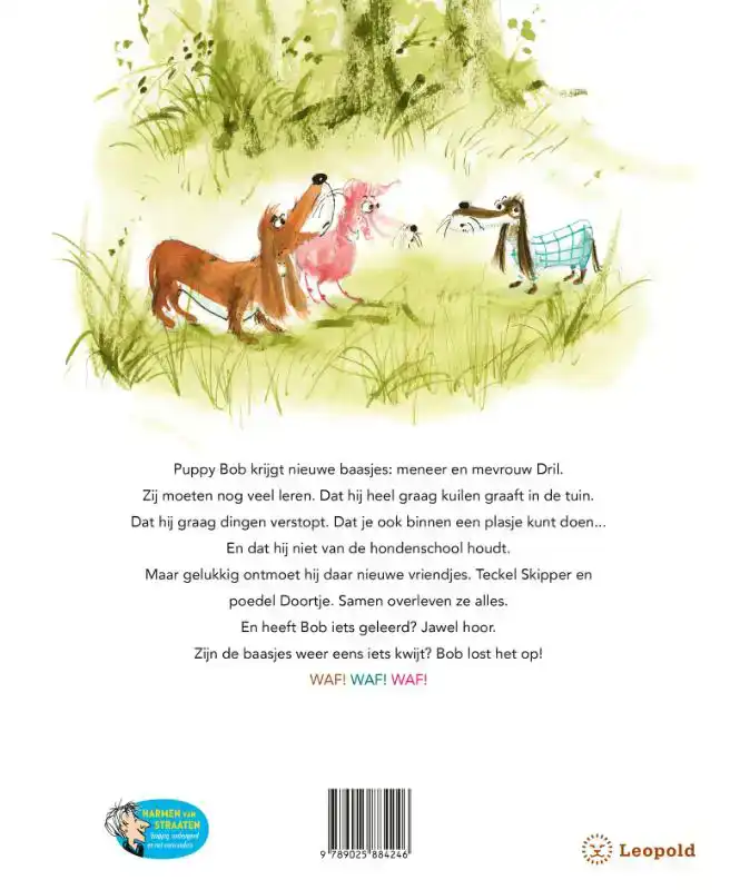 PUPPY BOB LOST HET OP
