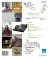 HET STOERE KUNSTBOEK