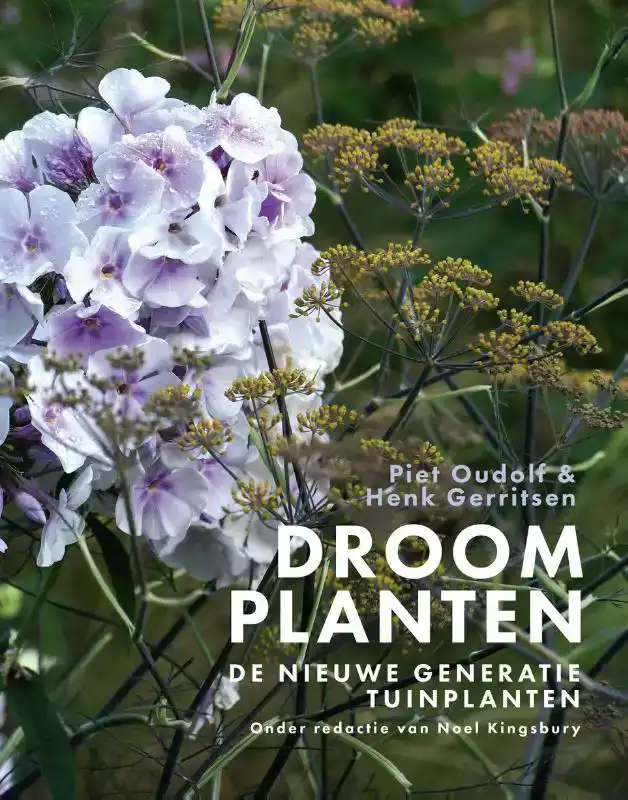 DROOMPLANTEN