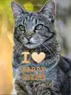 I LOVE HAPPY CATS LEGACY