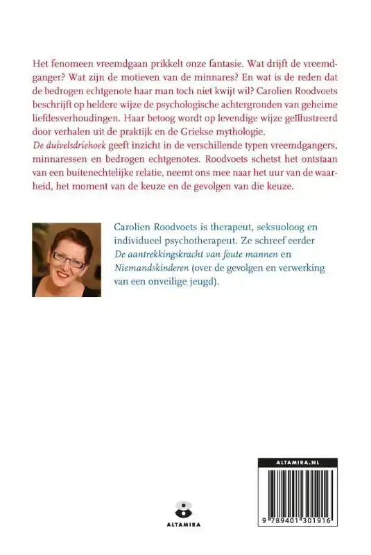 DE DUIVELSDRIEHOEK